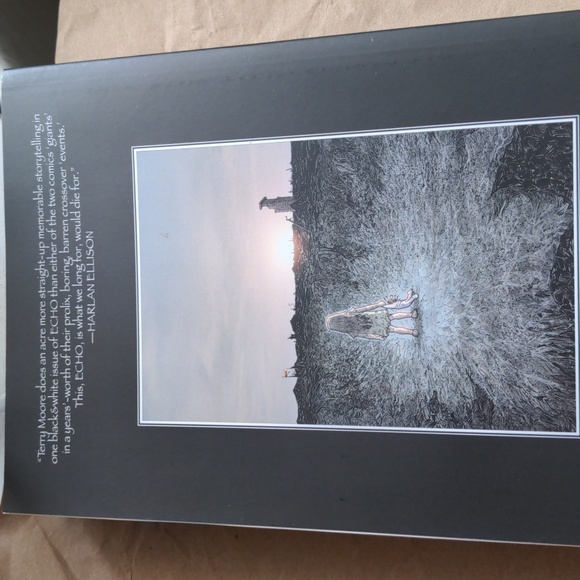 Echo, the Complete Edition Graphic Novel, Signed by Author, Terry Moore - Picture 3 of 9